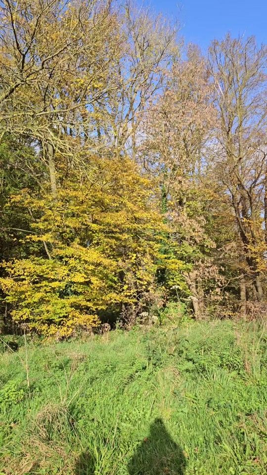 TikTok video thumbnail by madameverseau27