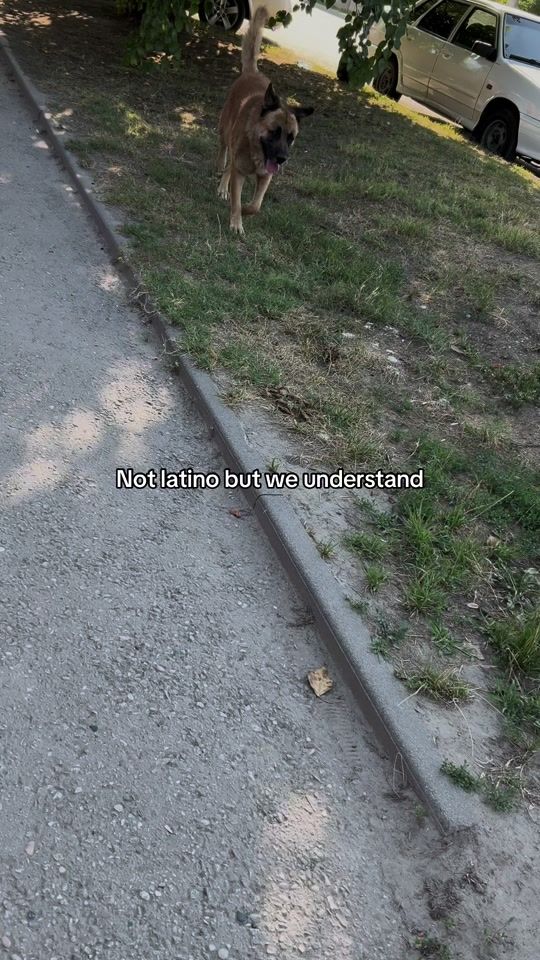 TikTok video thumbnail by caucasia_15