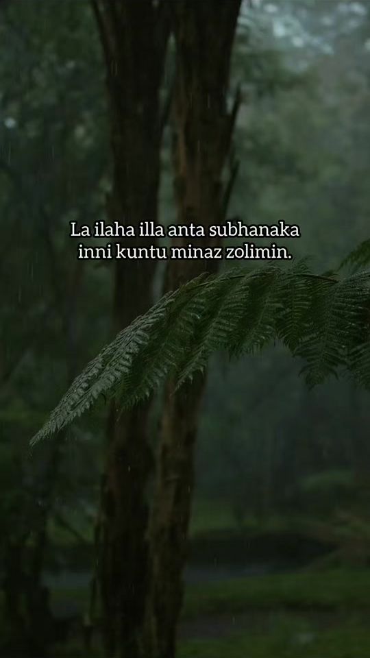 TikTok video thumbnail by muxtarchik5