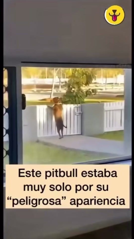 TikTok video thumbnail by datecuentq