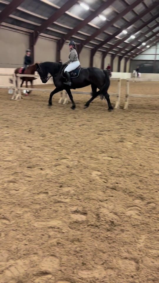 TikTok video thumbnail by jk.showjumper