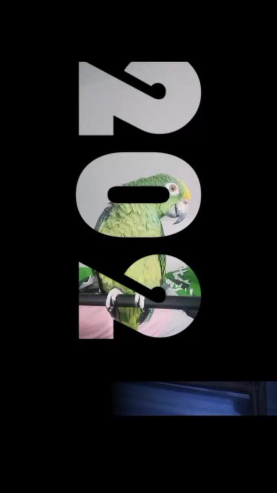 TikTok video thumbnail by mckinley.high3