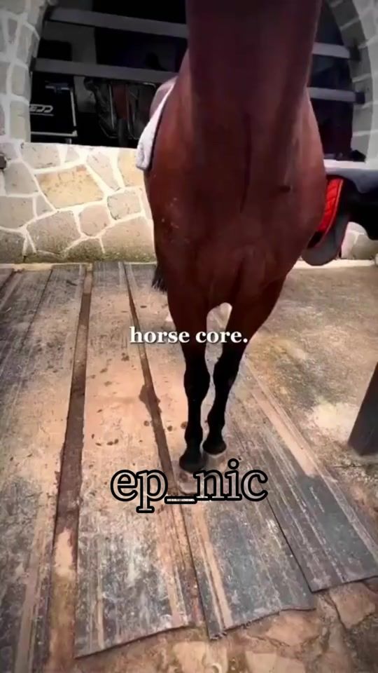 TikTok video thumbnail by lovcia_aleksy