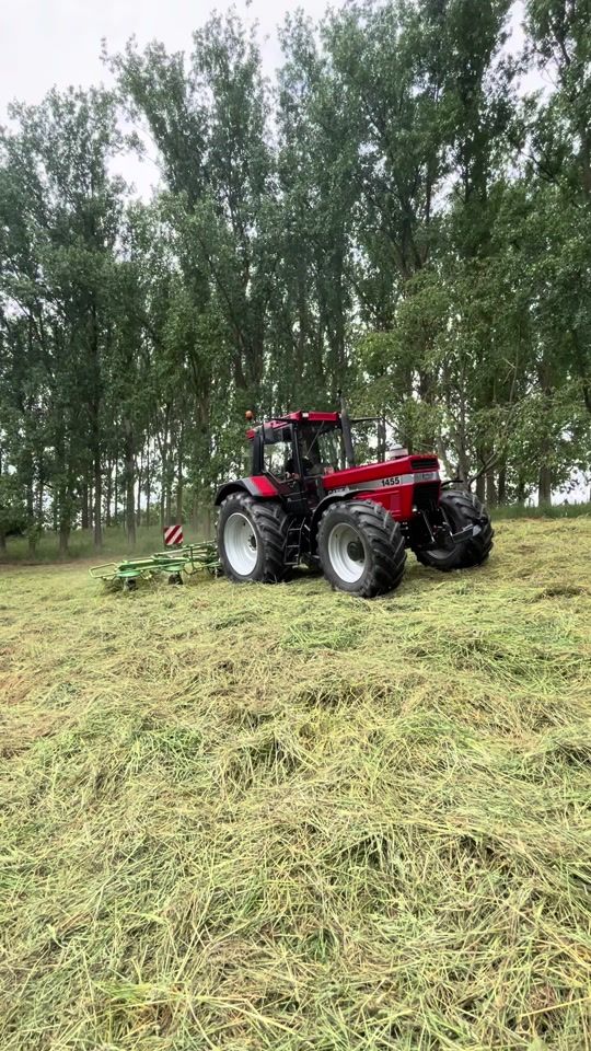 TikTok video thumbnail by tomvanderroost
