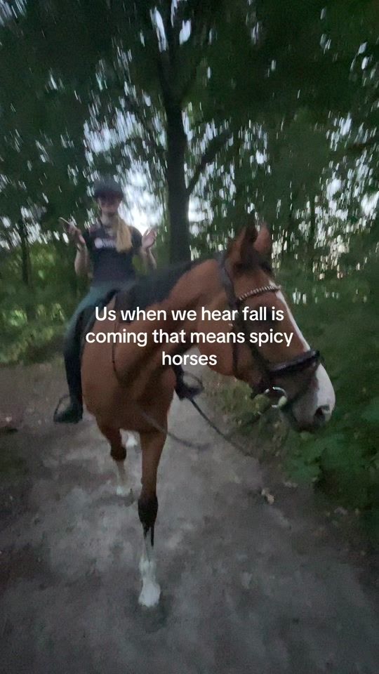 TikTok video thumbnail by eq_laddy