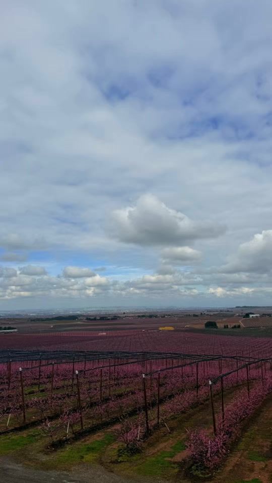 TikTok video thumbnail by ireneferro1790