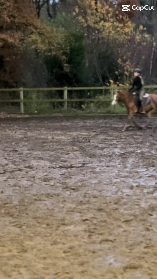 TikTok video thumbnail by horse_by_shania