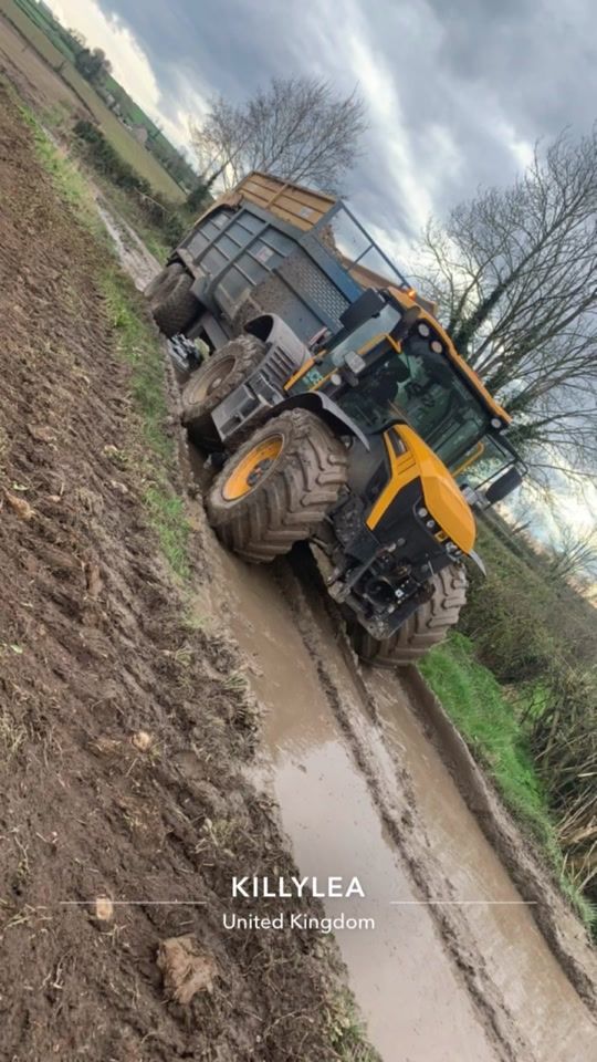 TikTok video thumbnail by rollston1