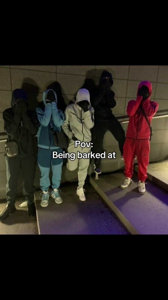 TikTok video thumbnail by alikecat27