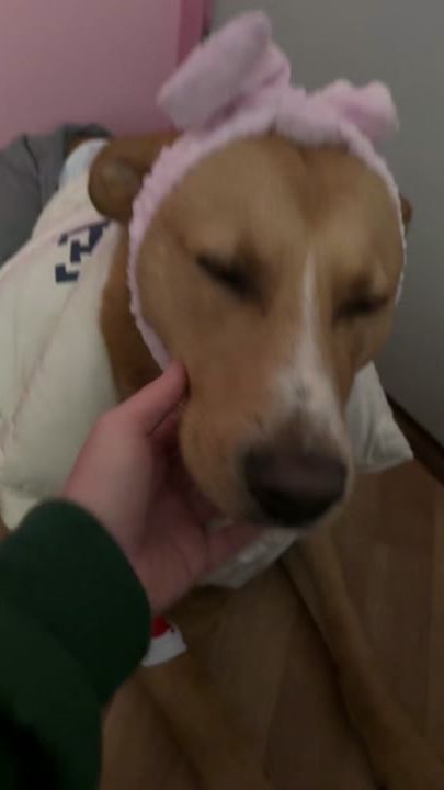 TikTok video thumbnail by agressiee_