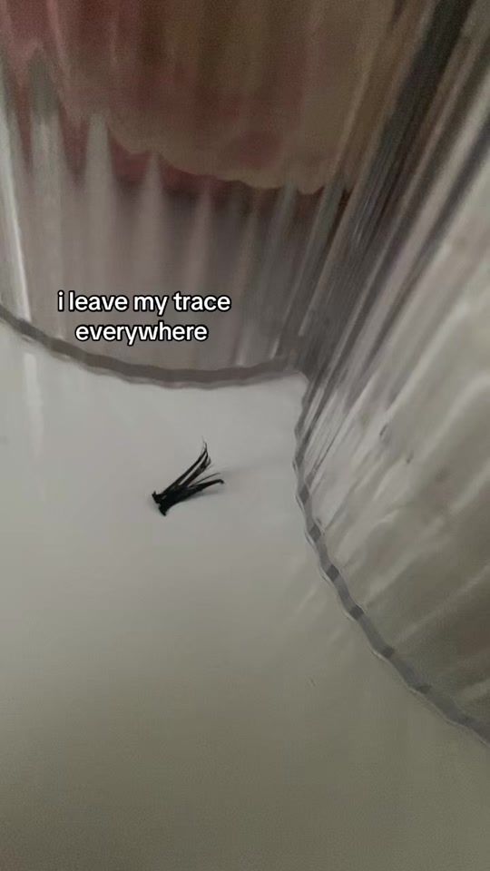 TikTok video thumbnail by s3cretxa