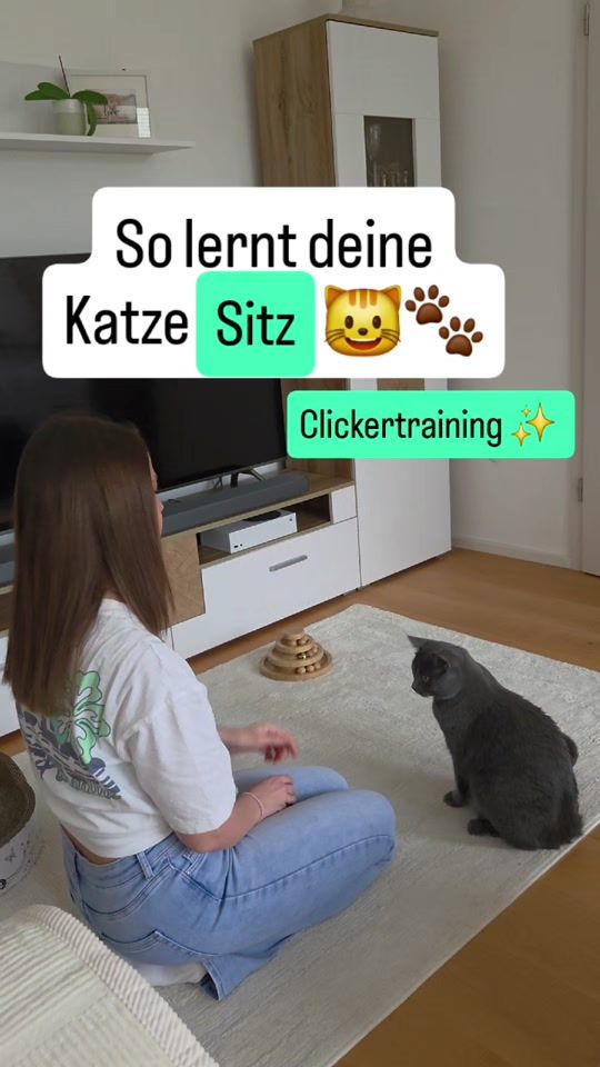 TikTok video thumbnail by miro56951