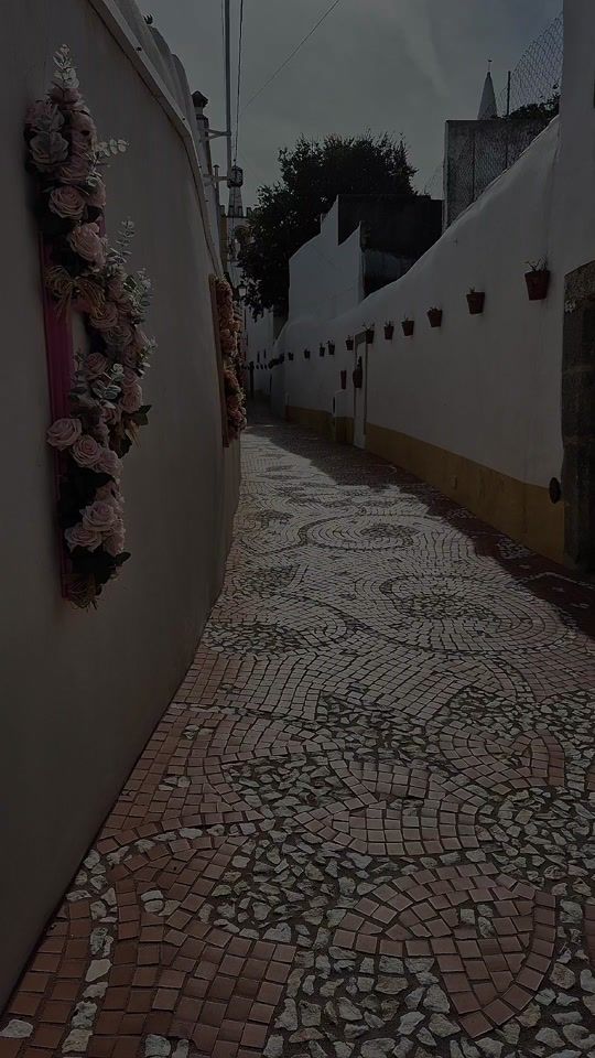 TikTok video thumbnail by tudapacheco