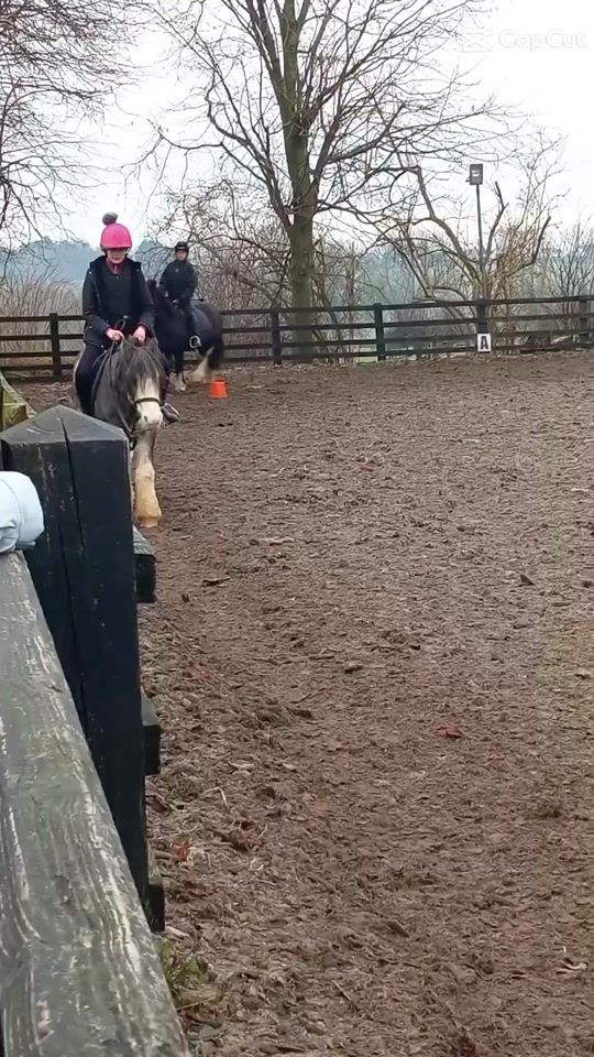 TikTok video thumbnail by forest_hh