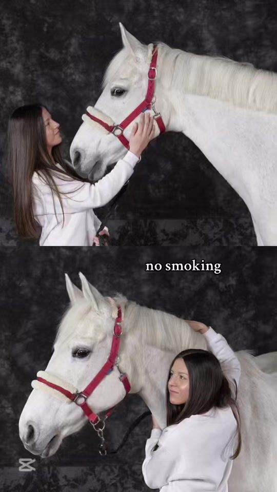 TikTok video thumbnail by gucci.cl