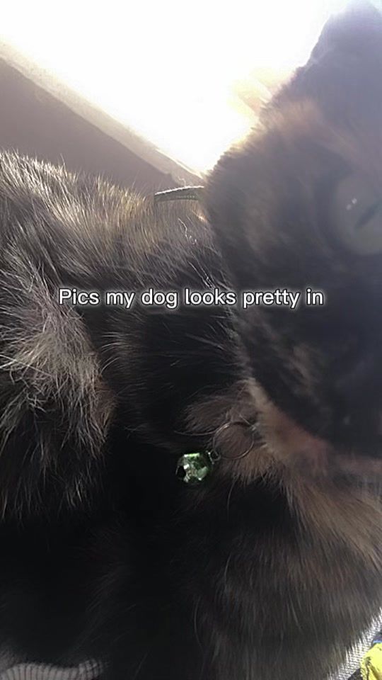TikTok video thumbnail by mramdbht71h