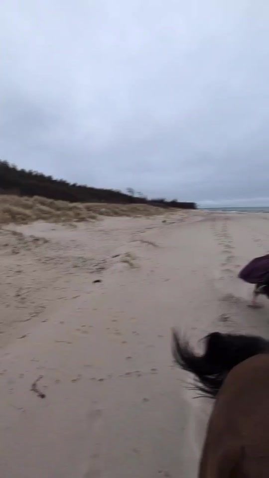 TikTok video thumbnail by soldier.pepper