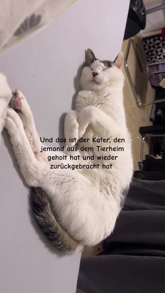 TikTok video thumbnail by noplanjustvibess