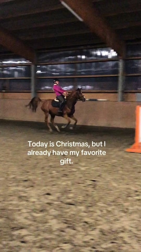 TikTok video thumbnail by leni_hansen_