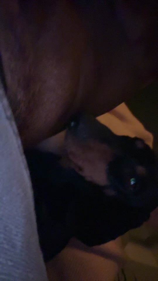 TikTok video thumbnail by mirtevanmaan