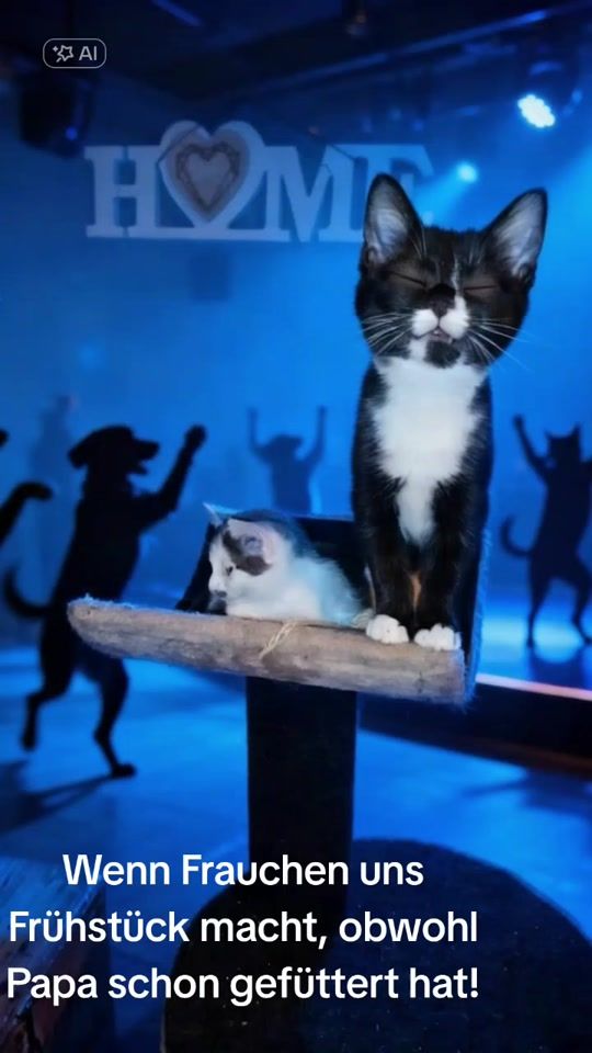 TikTok video thumbnail by melswildebande