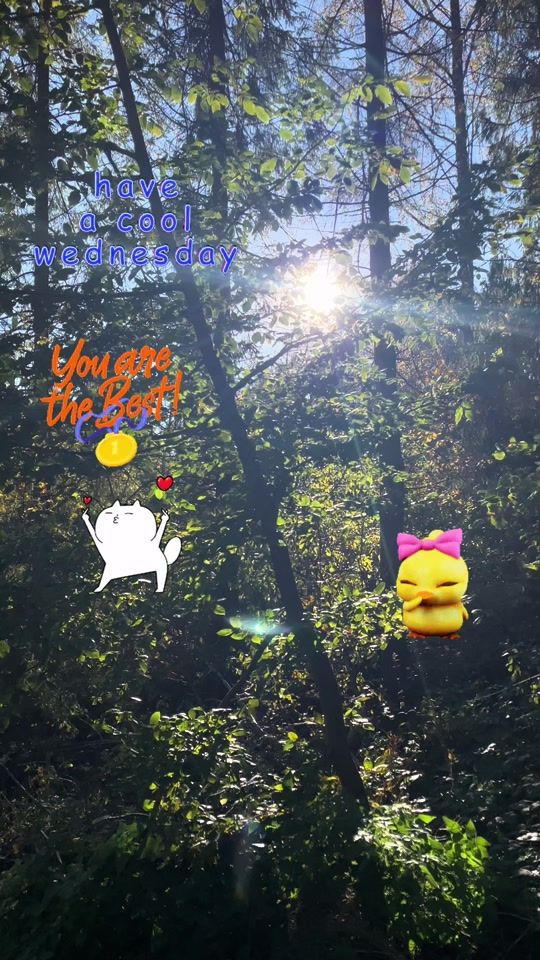 TikTok video thumbnail by alicjapieper323