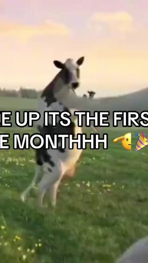 TikTok video thumbnail by lovelocksx