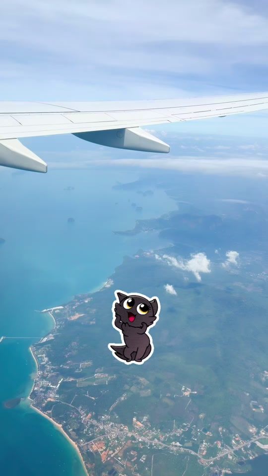 TikTok video thumbnail by cameliabuduru