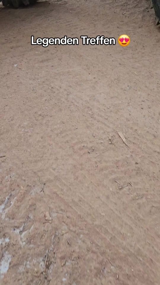 TikTok video thumbnail by lu_eble