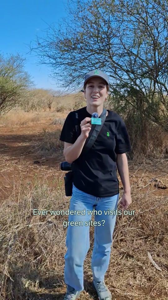 TikTok video thumbnail by justdiggit