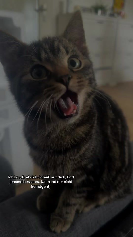 TikTok video thumbnail by jxss.17
