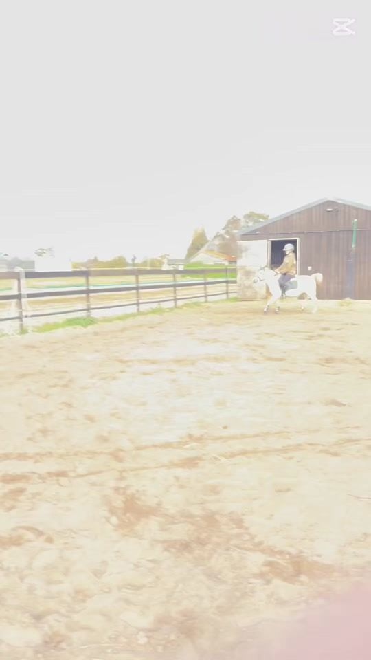 TikTok video thumbnail by equistrain_lotus