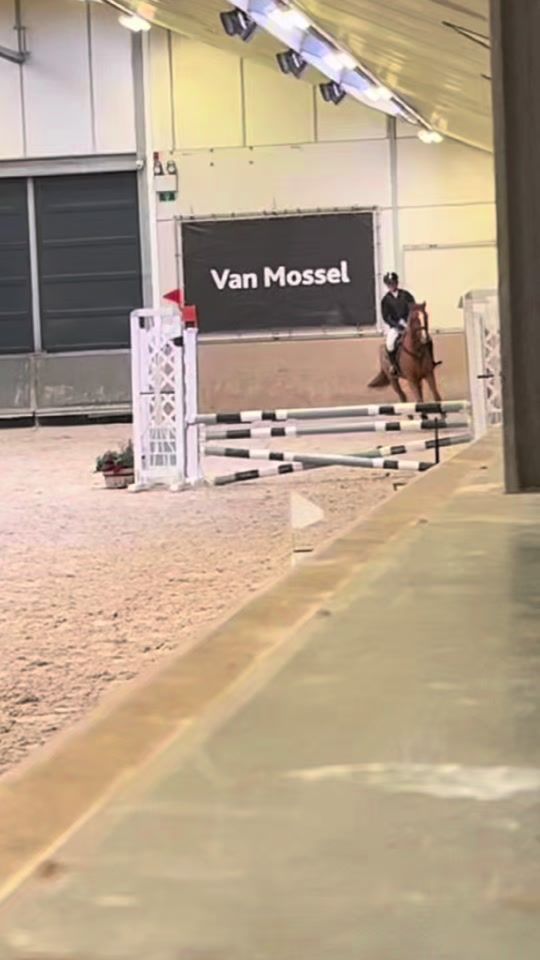 TikTok video thumbnail by hanne_voets