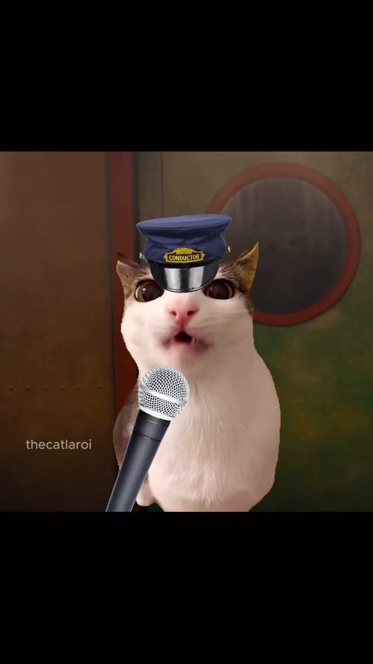 TikTok video thumbnail by thecatlaroi