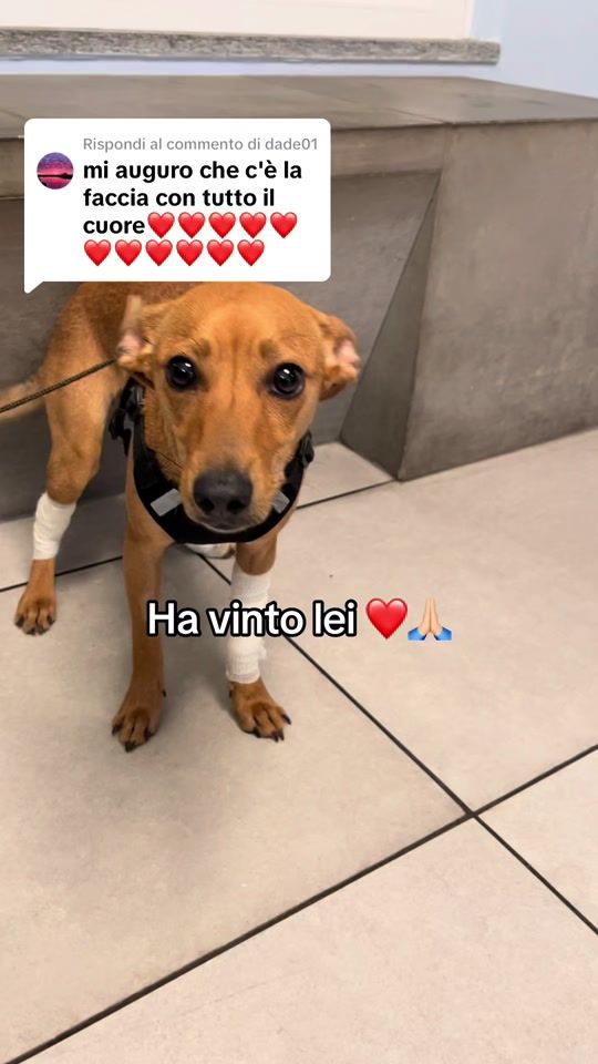 TikTok video thumbnail by imnotyourbarbieee