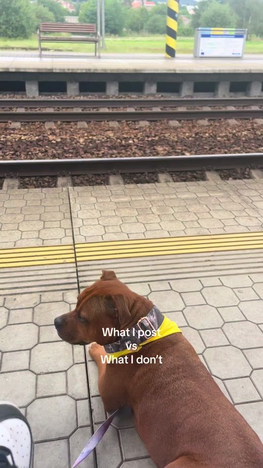 TikTok video thumbnail by coffee.staffbullik
