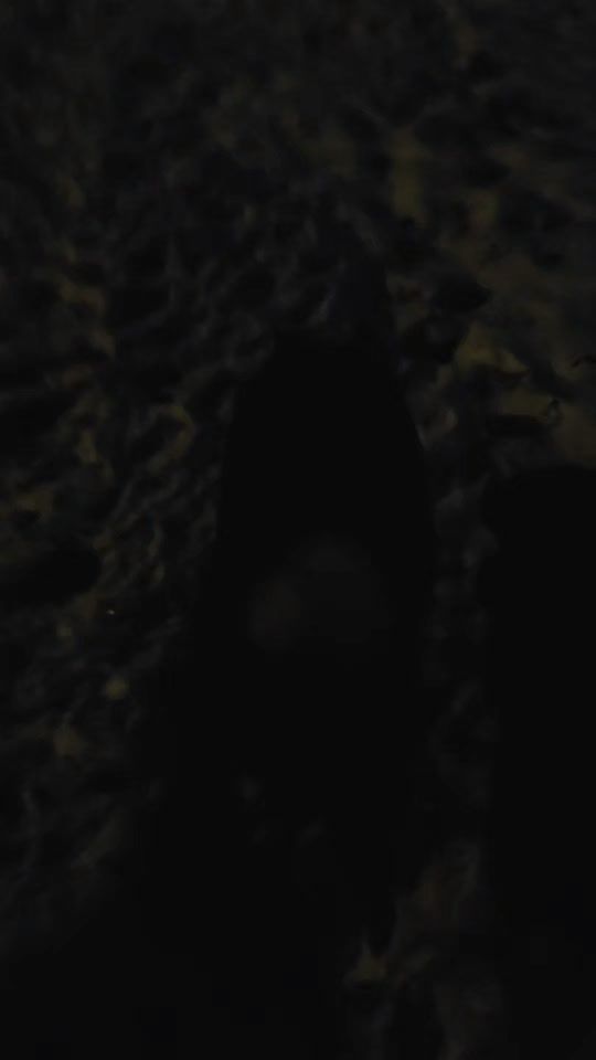 TikTok video thumbnail by ewa_1000