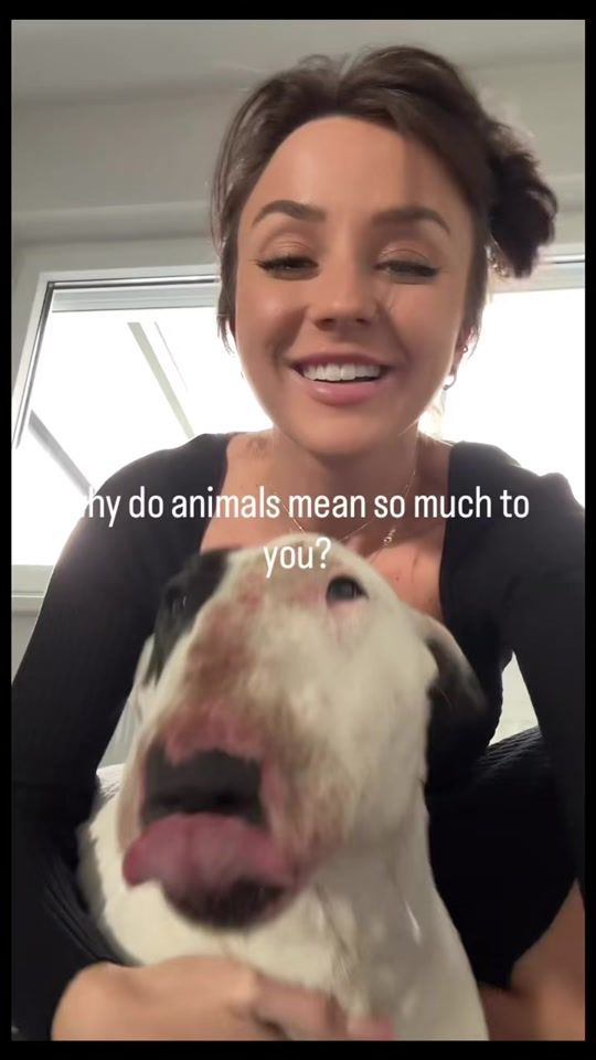 TikTok video thumbnail by annithebeast