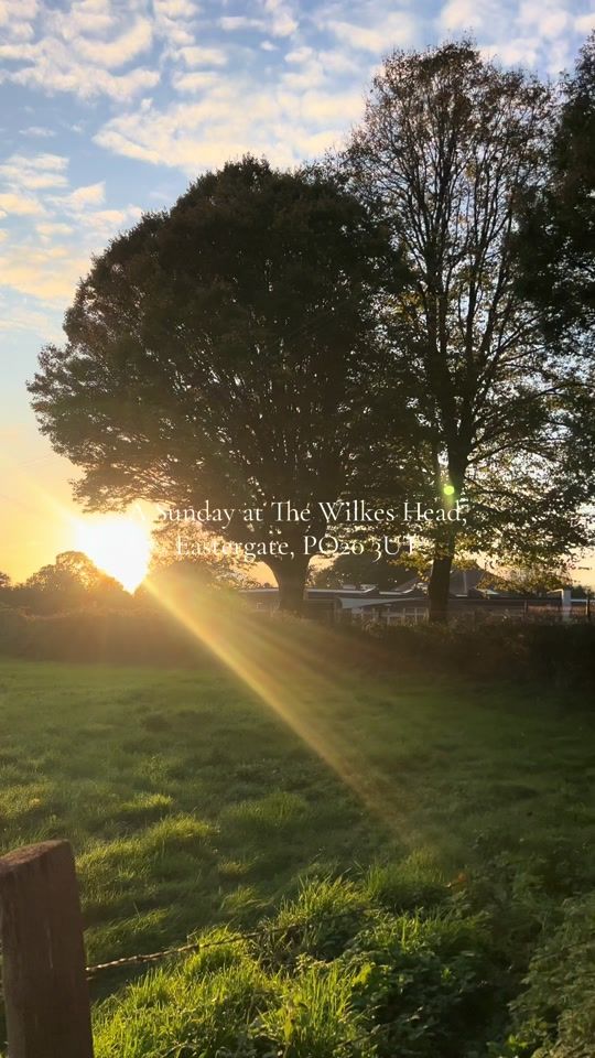 TikTok video thumbnail by thewilkeshead