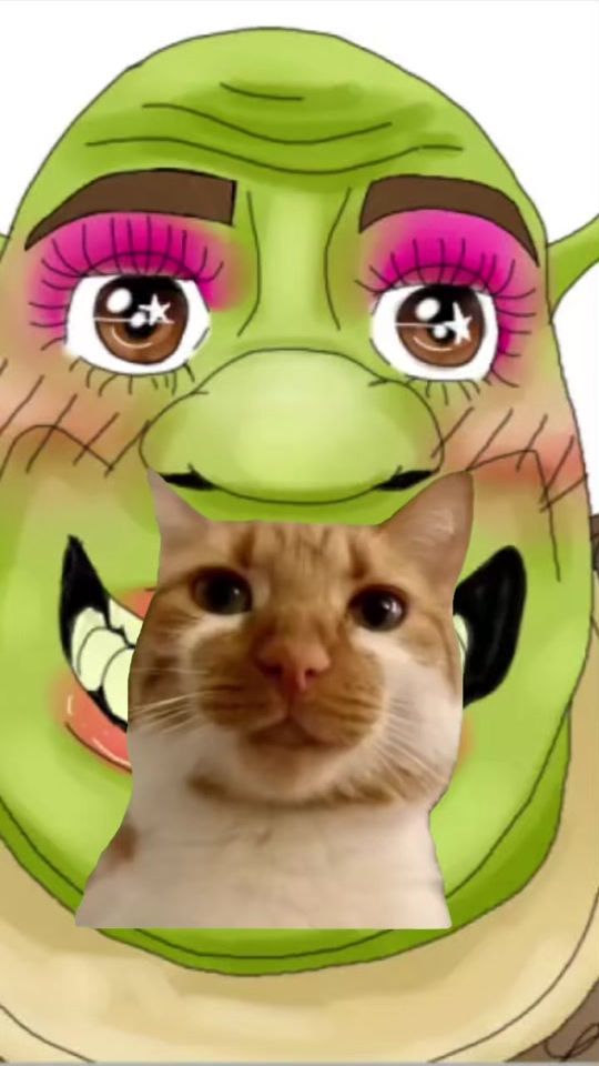 TikTok video thumbnail by kingnoah846