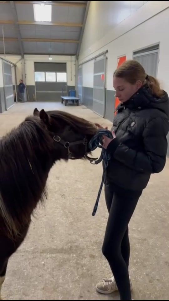 TikTok video thumbnail by xeqquestrian