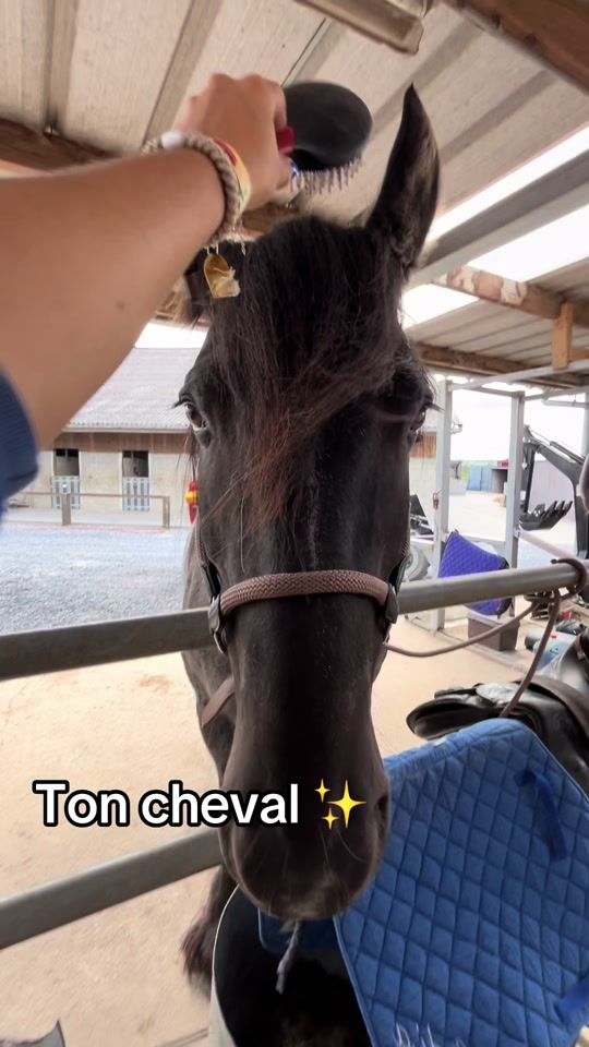 TikTok video thumbnail by ecuries.des.coudriers