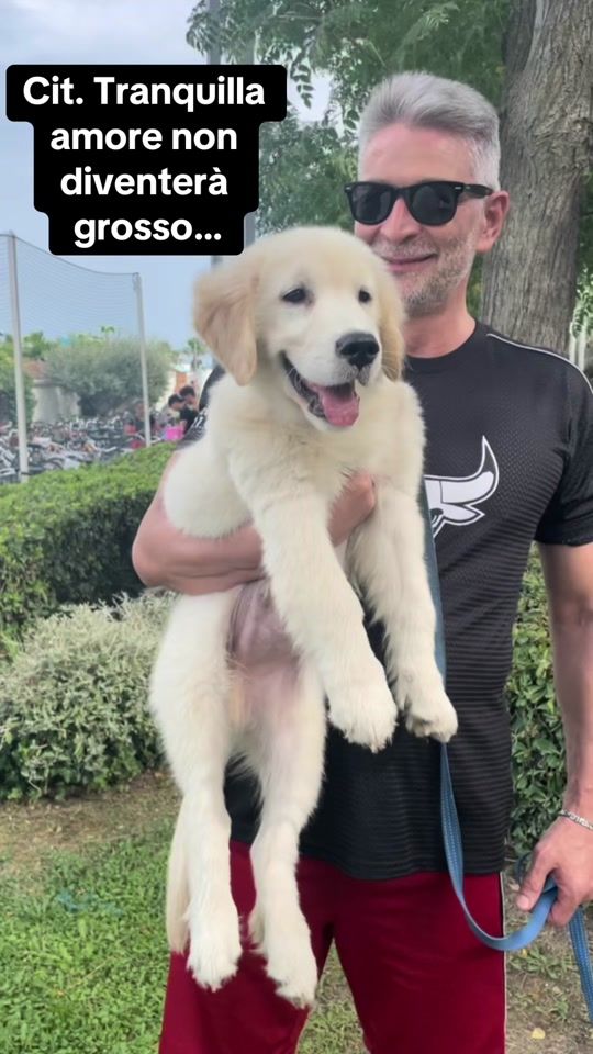 TikTok video thumbnail by mariagraziarest1