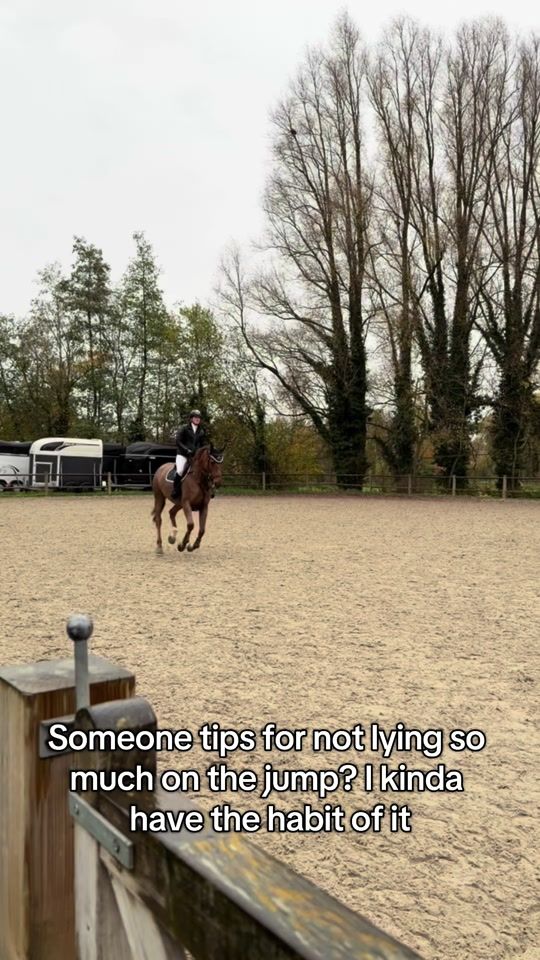 TikTok video thumbnail by zoe.schipper