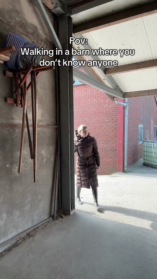 TikTok video thumbnail by equine.demi