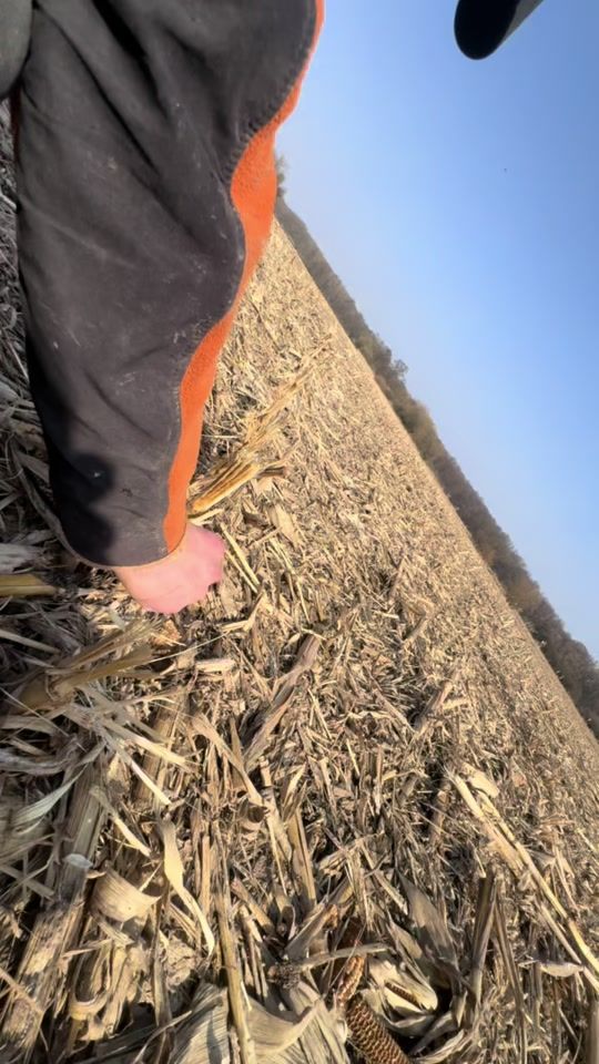 TikTok video thumbnail by radekturowski