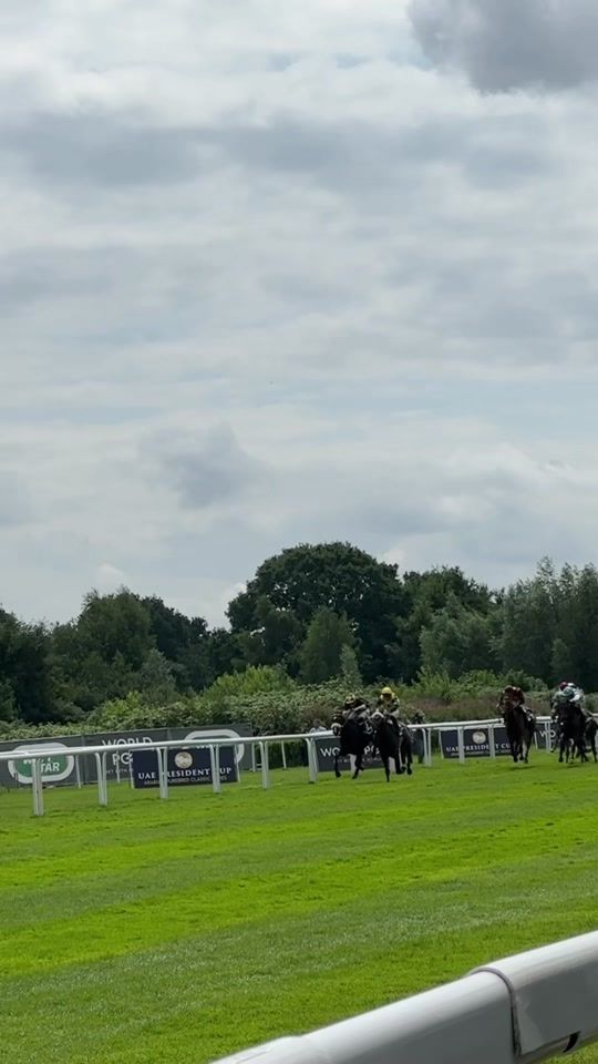 TikTok video thumbnail by kj___equestrian