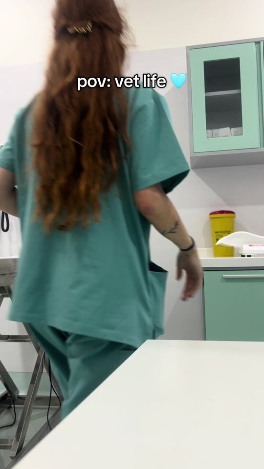 TikTok video thumbnail by gingervet