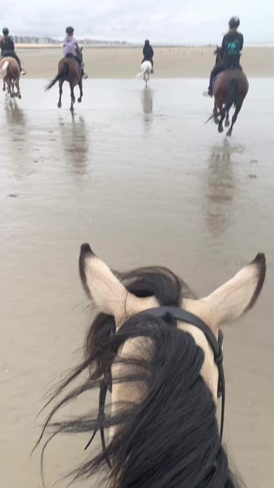 TikTok video thumbnail by user97082720271375