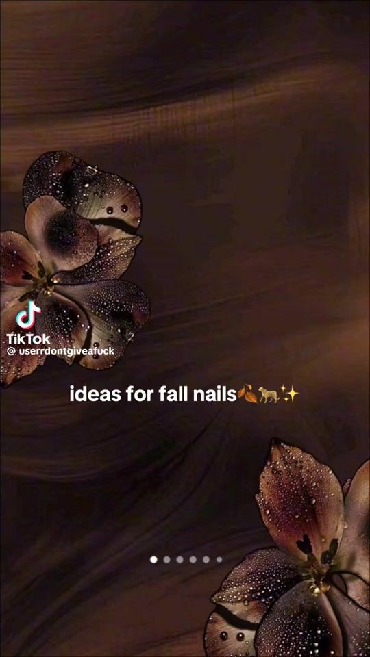 TikTok video thumbnail by h.haasan.dahir